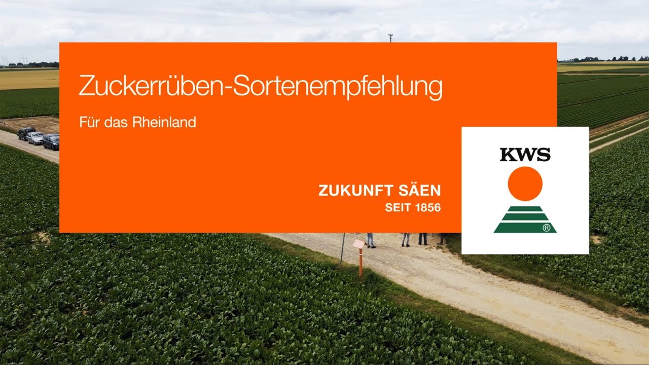 Sortenempfehlungen vom Versuchsfeld Gäufelden-Tailfingen: Sommergerste