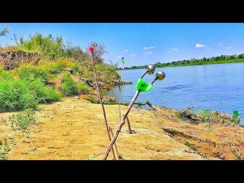 Видео: ВОДА КИПИТ, ЛОМАЮТ ТЫЧКИ! ВОТ ЭТО КЛЕВ!!! Рыбалка на донки и спиннинг.