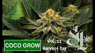 COCO GROW(Home Grown) VOL 22