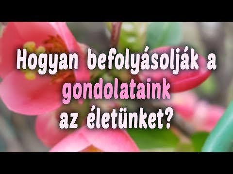 Videó: Hogyan Befolyásolják Gondolataink A Hangulatot