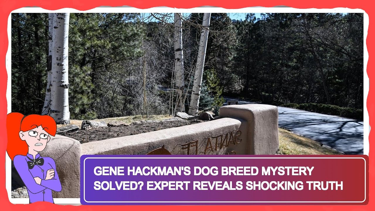 Gene Hackman's Dog Breed Mystery Solved? Expert Reveals Shocking Truth