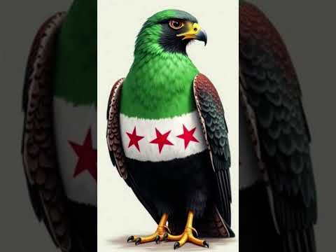 سوريين اللهم لا حسد اصغرنا يخوف الاسد
