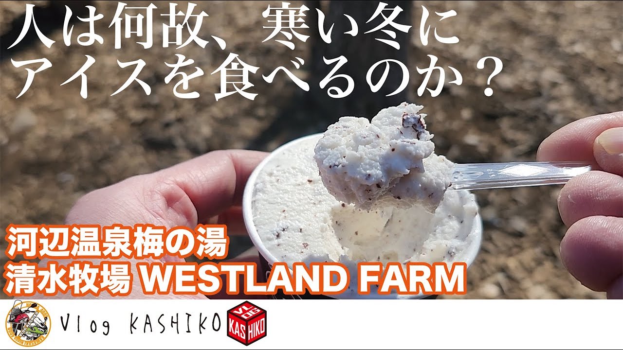 【モトブログ】#266　人は何故、寒い冬にアイスを食べるのか？【河辺温泉梅の湯】【清水牧場WESTLAND FARM】【400X】