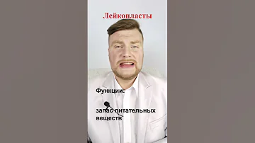 Лейкопласты. ЕГЭ Биология. ЕГЭ 2022.