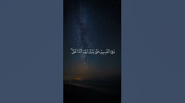 من سورة فصِّلت #القرآن_الكريم #تلاوات_خاشعة #تلاوات #تلاوة #تلاوة_خاشعة #تلاوة_هادئة #تلاوة_مميزة