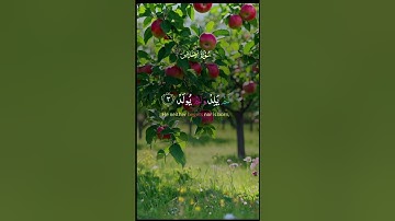 القارئ عبد الباسط عبد الصمد القرآن الكريم #اكسبلور #عبدالباسط_عبدالصمد #المصحف #لايك #القرآن_الكريم