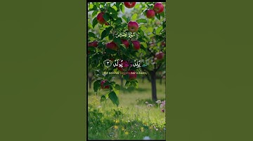 القارئ عبد الباسط عبد الصمد القرآن الكريم #اكسبلور #عبدالباسط_عبدالصمد #المصحف #لايك #القرآن_الكريم