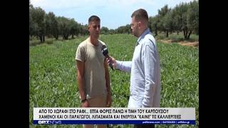 Επτά φορές πάνω η τιμή του καρπουζιού από το χωράφι στο ράφι