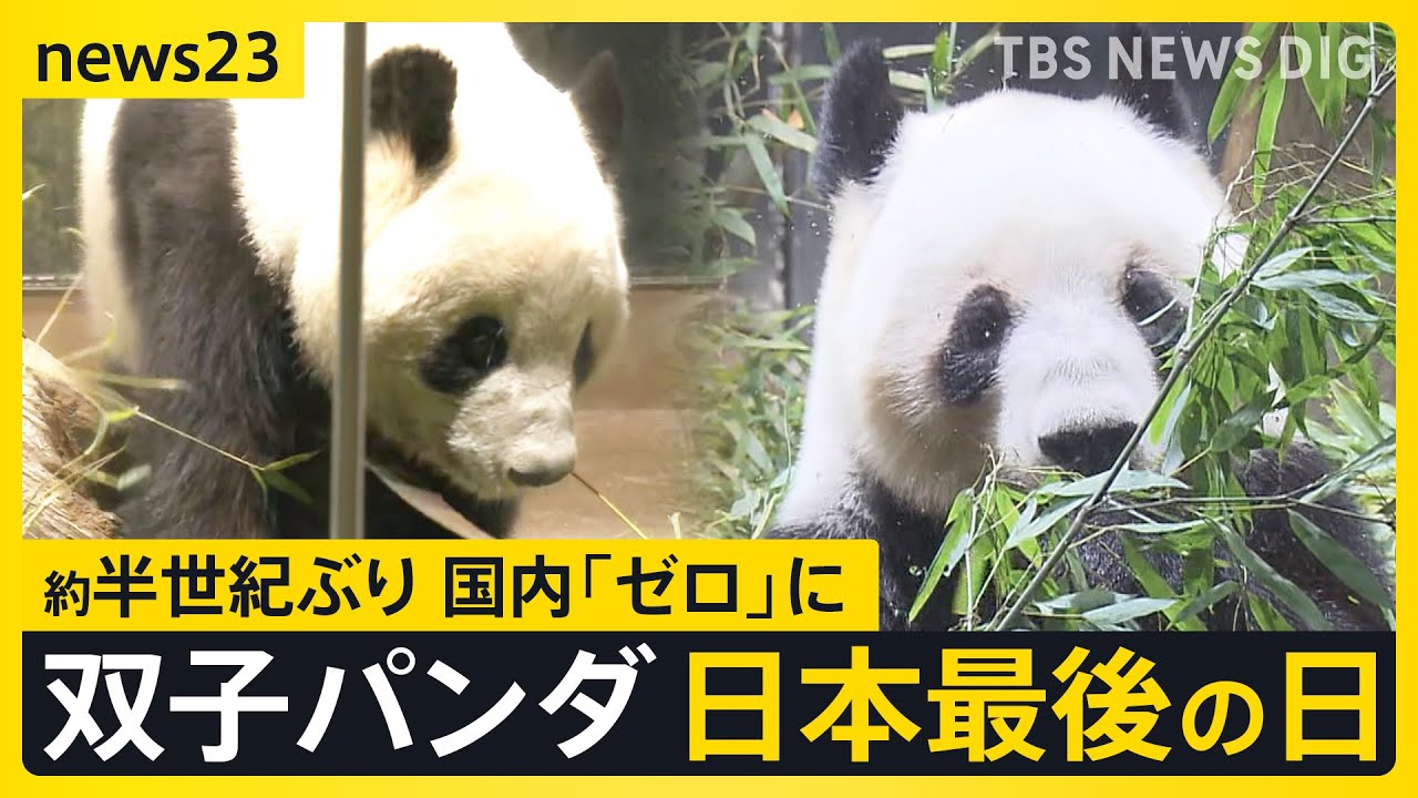 「忘れられない一日」上野・双子パンダ日本最後の日　“新たなパンダの貸与”は見通し立たず…中国「パンダを見に来ることを歓迎」【news23】｜TBS NEWS DIG