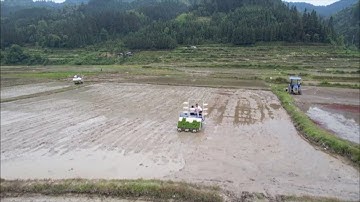 Mechanized rice farming doubles efficiency in China