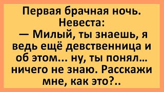 Первая брачная ночь, молодожёны лежат в постели... Анекдоты смешные до слез! Юмор! Приколы!