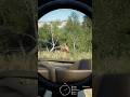 Toujours vérifier les environs avant d’avancer #gaming #armareforger #simulation #gameplay