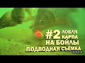 Ловля карпа на бойлы # 2 подводная съёмка (Видео 4К)