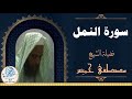 027 سورة النمل لفضيلة الشيخ مصطفى خميس