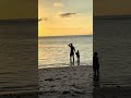 #peacefulwaves #islandlife #beach #sunset #beachvibes