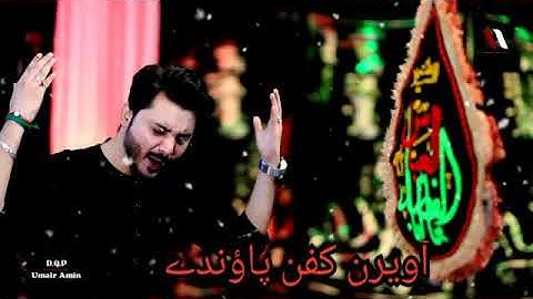 First status noha by ali hamza Gazi di umri jae jenray roro eid .... Status .