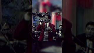 Shorts: Ferdi Tayfur - \