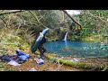 極寒の山奥の秘境で釣りしてたら帰れなくなるとこだったよ!