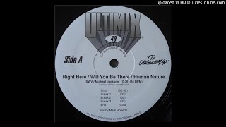 SWV\/Michael Jackson - Right Here\/Will You Be There\/Human Nature (Ultimix Version))
