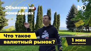 Что такое валютный рынок?