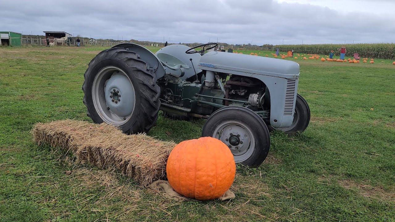 PUMPKIN PICKING AT WINDY ACRE FARM LONG ISLAND fallvibes YouTube