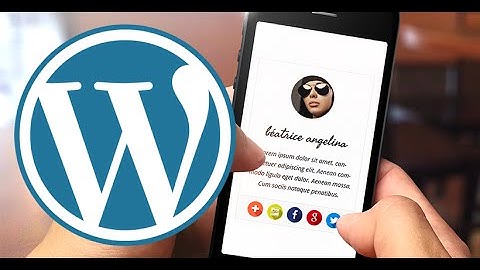 How To Add Author Profile Box in WordPress Blog