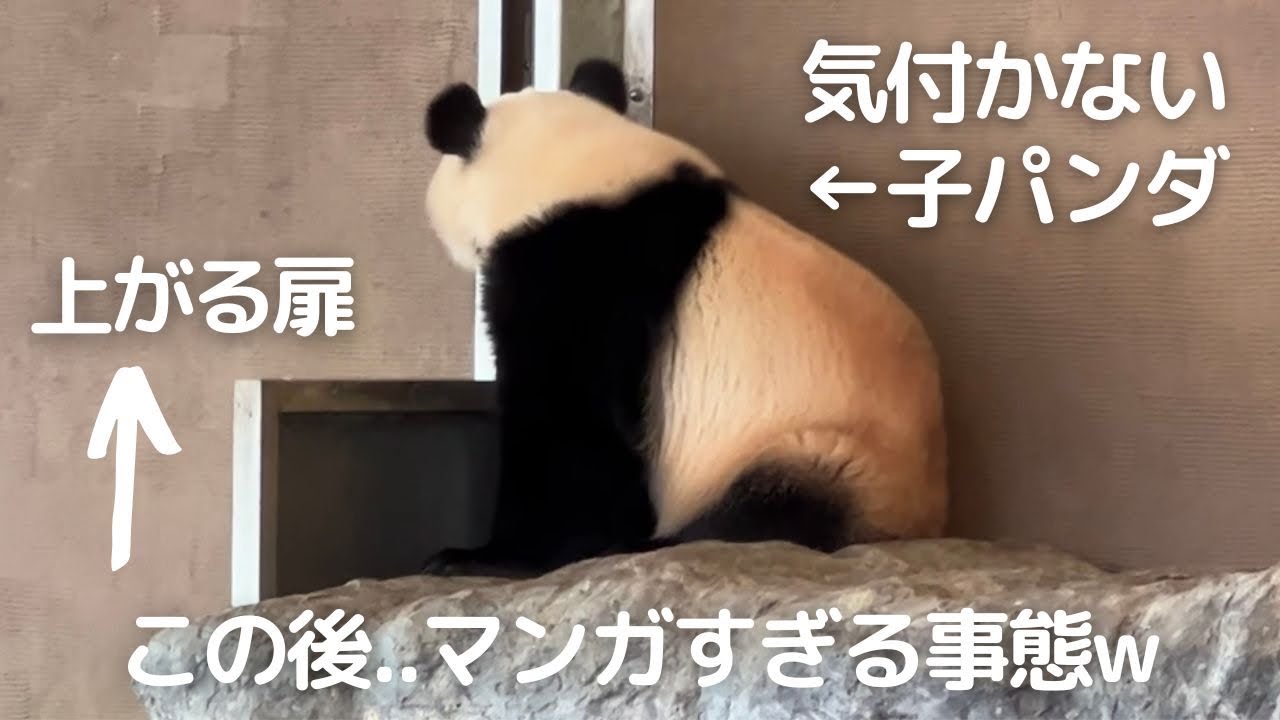Mkwtajgufxr6sm