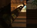 jogada no passinho bem solto #cs2 #counterstrike #shorts #youtubeshorts #gaming #gameplay #gamer #cs