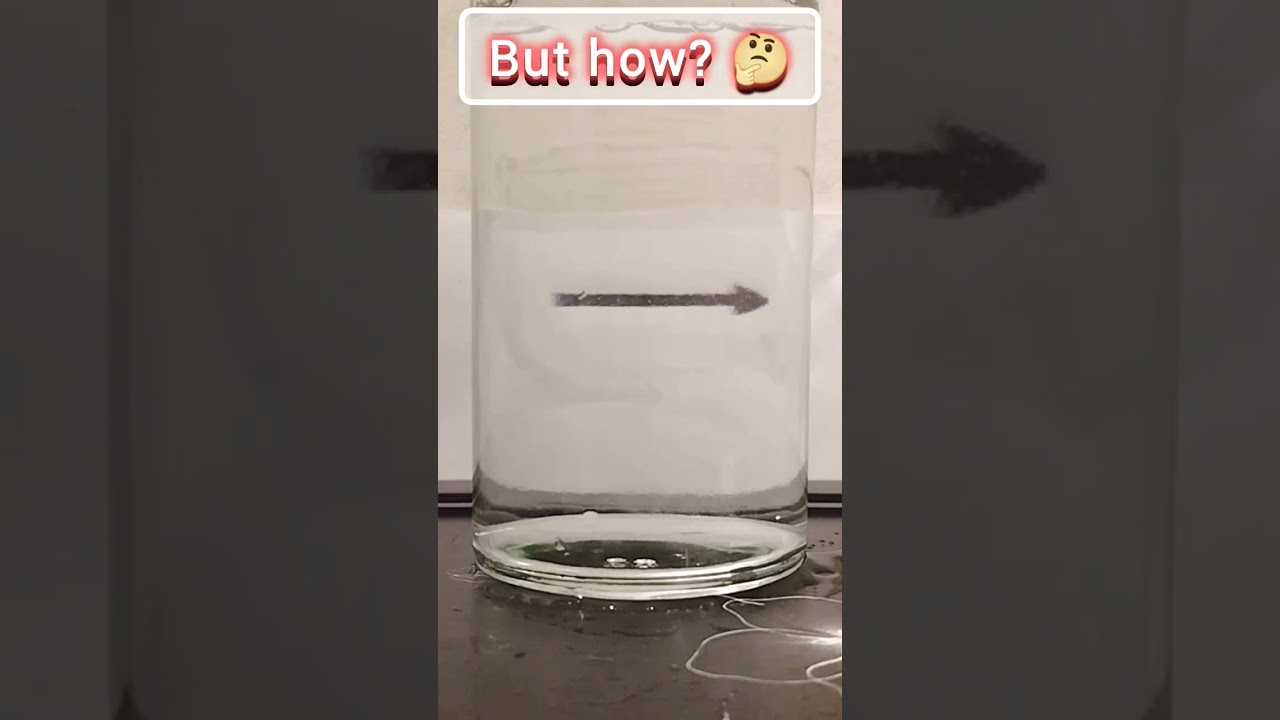 Magic or Science? You Decide! 🧪✨ Reverse Arrow Experiment