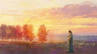 Romans 8: Present Suffering and Future Glory//More Than Conquerors