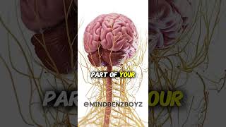 Your Mind Creates Stories While You Sleep