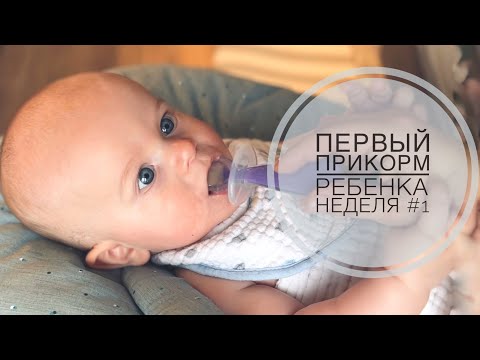 ПЕРВЫЙ ПРИКОРМ РЕБЕНКА  НЕДЕЛЯ #1  БЕЗМОЛОЧНАЯ ГРЕЧНЕВАЯ КАША