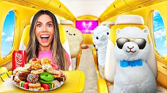I Took My LLAMAS on a PRIVATE JET! *SURPRISE*