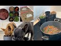 How To Cook For A Dog? Recipe No. 2