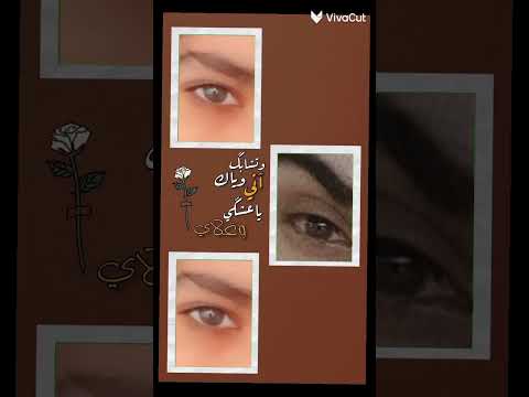 حبيبي حياتي عمري ودنيتي وروحي وعشقي وانفاسي وكلبي انته احبك موت يروح روحي K