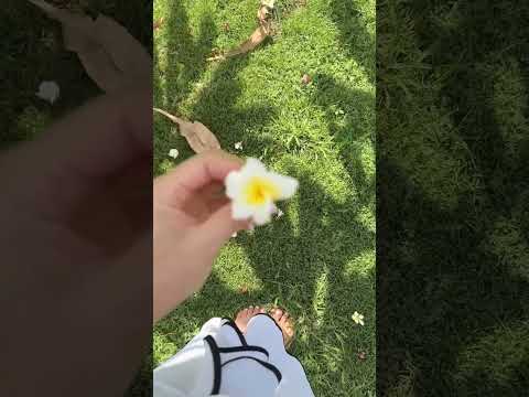Summer ASMR Vibes: White Pedicure & Tropical Flowers 🌸✨