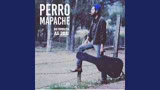 Video thumbnail of "Perro Mapache - Frenchy"