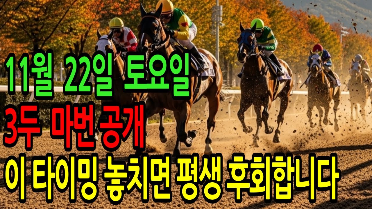 11월 22일 토요일 경마~“이번 타이밍을 놓치면 다음은 없습니다”ㅣ승전경마 전문가의 이변 포착 l 경마 l 경마예상 l 코리아레이스 l 검빛경마 ㅣ경마정보
