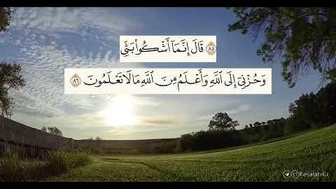 تلاوة خاشعة | مشاري فالح ( حالات واتس )
