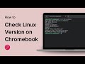 How to Check Linux Version on Chromebook