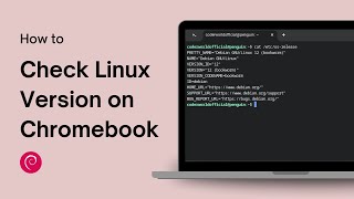 How to Check Linux Version on Chromebook