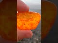 Glowing Carnelian in the Morning Sun! Episode 8 #shorts