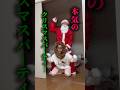 【クリスマスメイク】ガチもんのサンタさん&トナカイに目指してみたwwwwwwwwwww #shorts #christmas