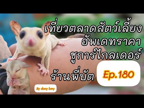 เที่ยวตลาดสัตว์เลี้ยง Ep.180