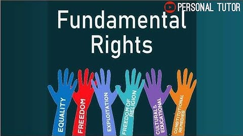 Fundamental Rights - part 1 class 7 civics maharastra board