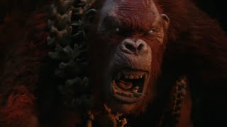 Godzilla x Kong: The New Empire [2024]  Skar King Screen Time