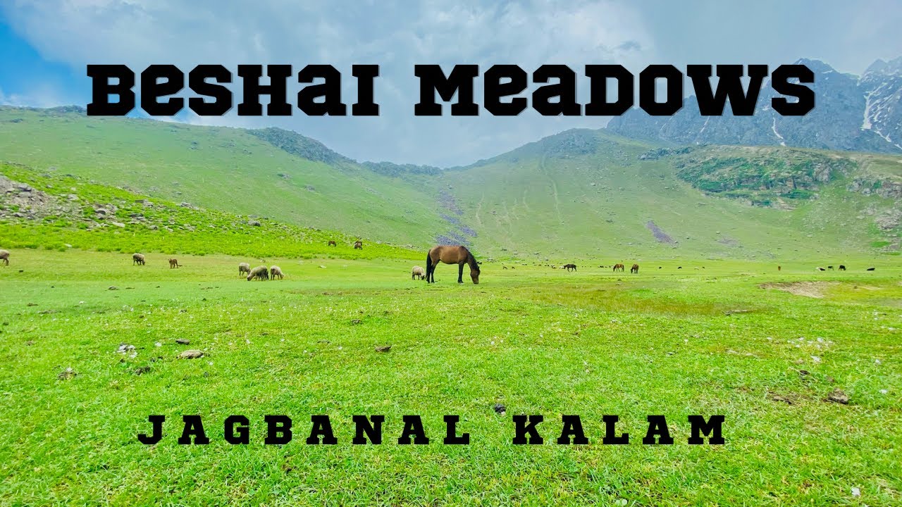 Most Beautiful Beshai And JagBanal Meadows kalam Swatvalley //