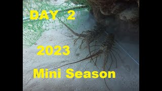 MINI SEASON LOBSTERING Day 2 2023 In the Florida Keys