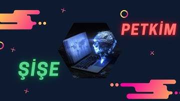 Algoritmik Trading | Şişe & Petkim Robot Performansları