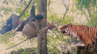 tiger attack me survival of bamboo fire bomb